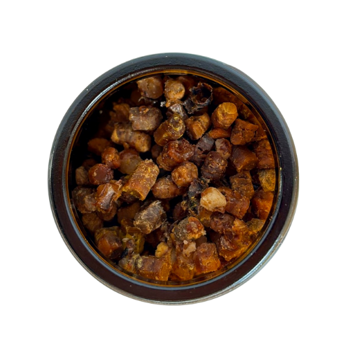 Perga (Bienenbrot)
